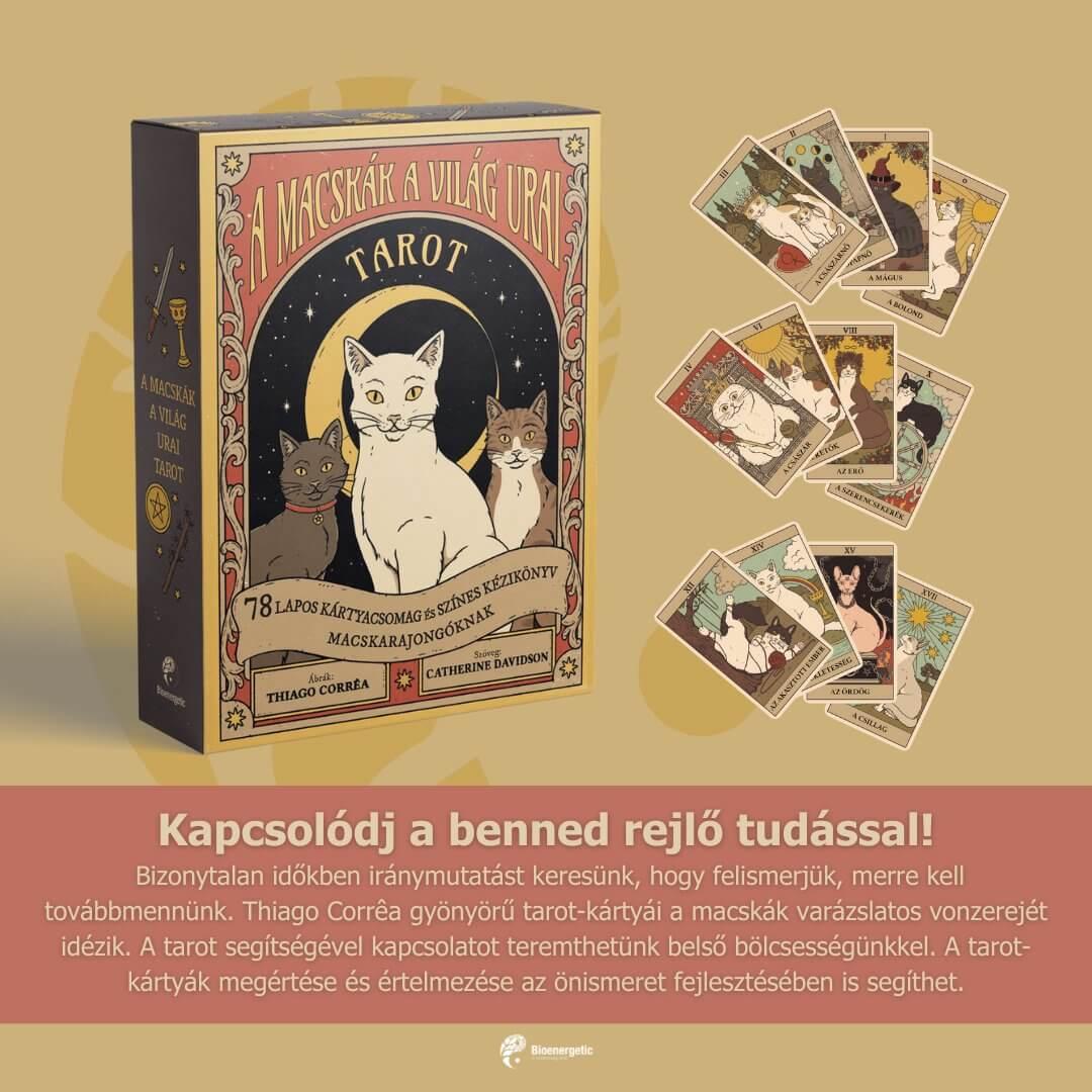 A macskák a világ urai tarot szett: kártya + útmutató könyv