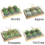 Kép 4/7 - választható kaktusz gyertya típusok